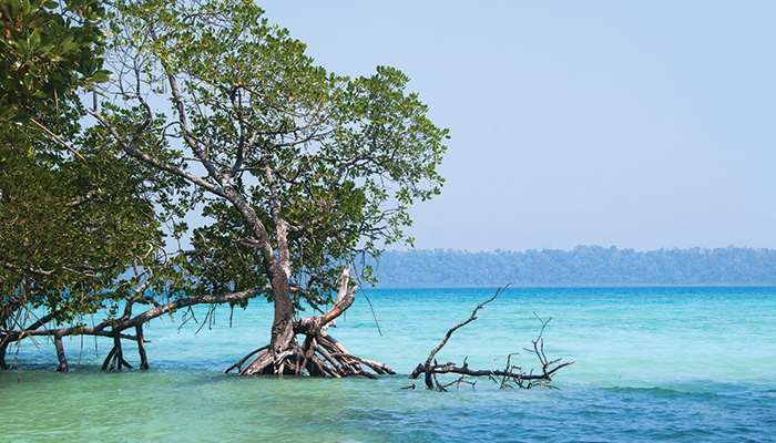 Here’s Why the Andaman Islands Should Be on Your Travel Bucket List